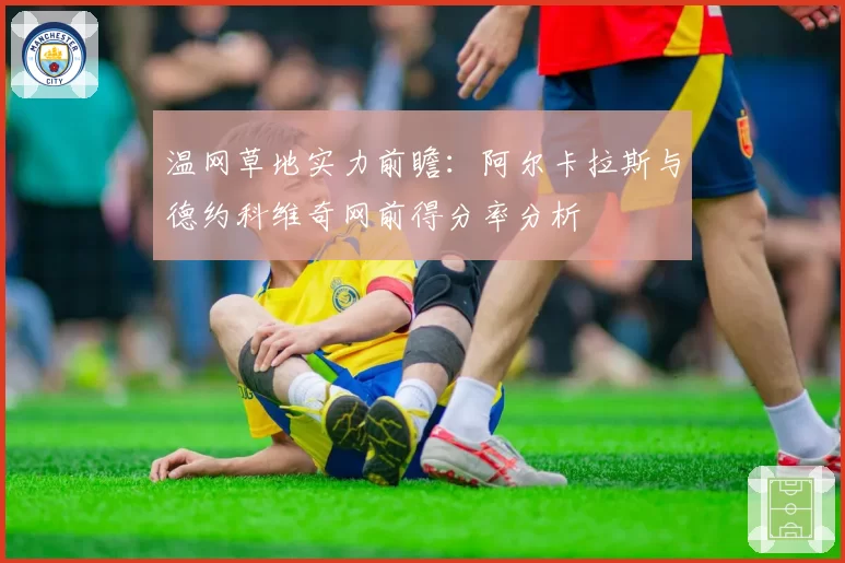 温网草地实力前瞻：阿尔卡拉斯与德约科维奇网前得分率分析