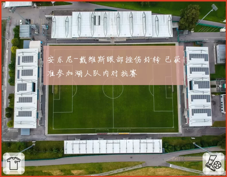 安东尼-戴维斯眼部挫伤好转 已获准参加湖人队内对抗赛