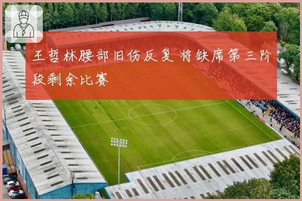 王哲林腰部旧伤反复 将缺席第三阶段剩余比赛