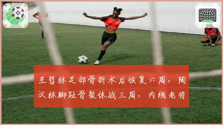 王哲林足部骨折术后恢复六周，陶汉林脚趾骨裂休战三周，内线老将复出计划各异