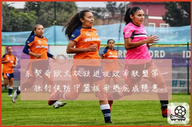 东契奇欧文双核进攻效率联盟第一，独行侠防守篮板率垫底成隐患。