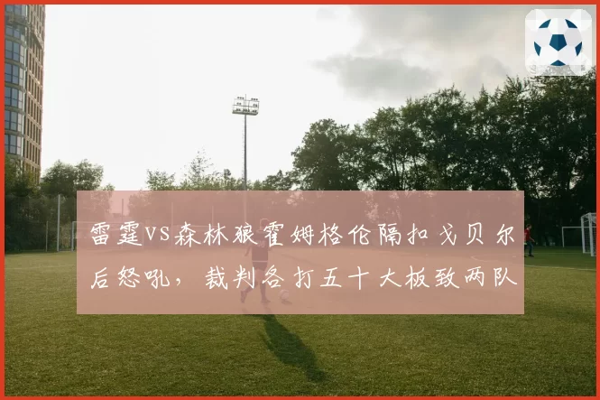 雷霆vs森林狼霍姆格伦隔扣戈贝尔后怒吼，裁判各打五十大板致两队不满