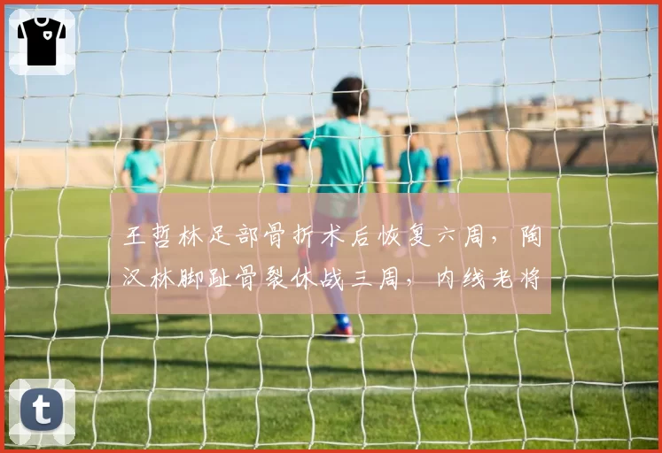 王哲林足部骨折术后恢复六周，陶汉林脚趾骨裂休战三周，内线老将复出计划各异