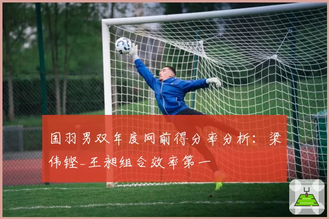 国羽男双年度网前得分率分析：梁伟铿_王昶组合效率第一