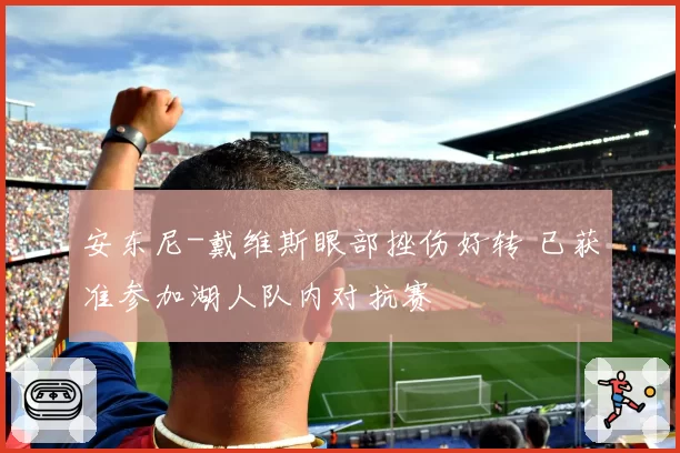 安东尼-戴维斯眼部挫伤好转 已获准参加湖人队内对抗赛